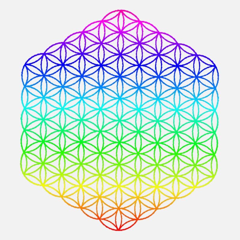 Fleur de Vie - 5ème Dimension - Mandala