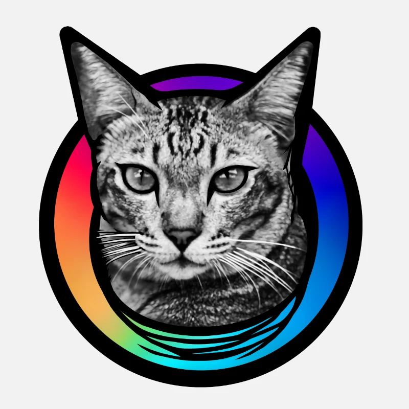 Rainbow Cat