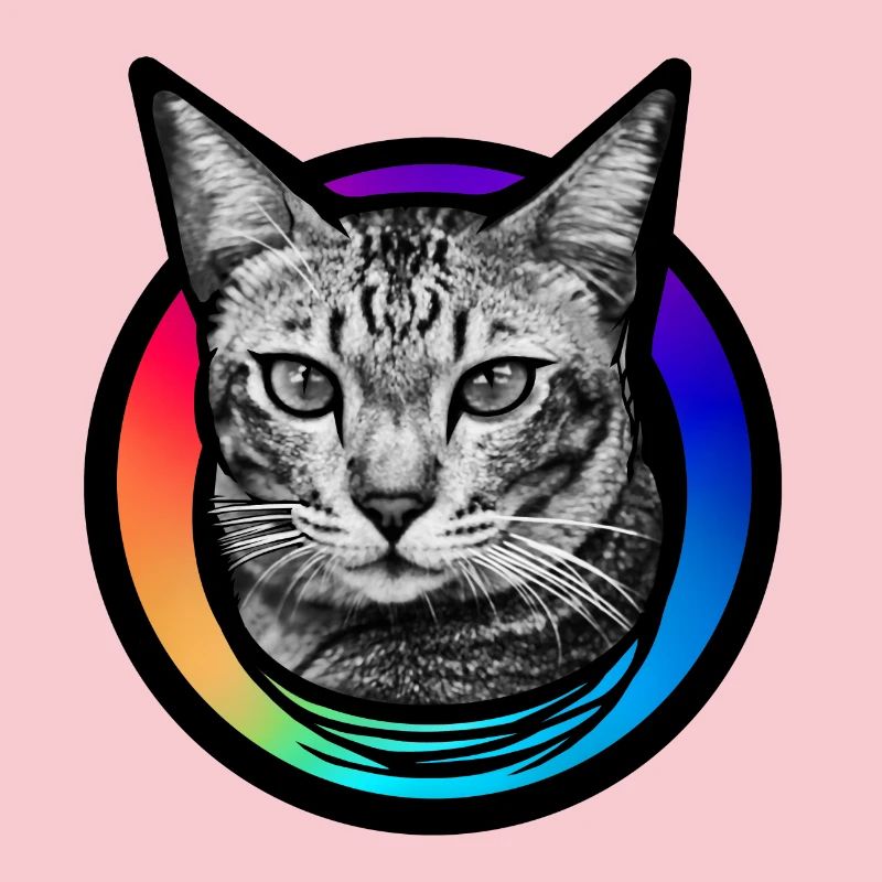 Rainbow Cat