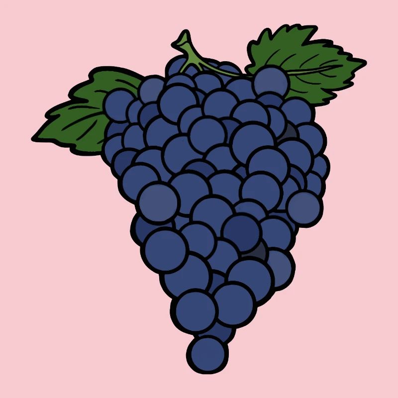 Delicious Fruit Grape