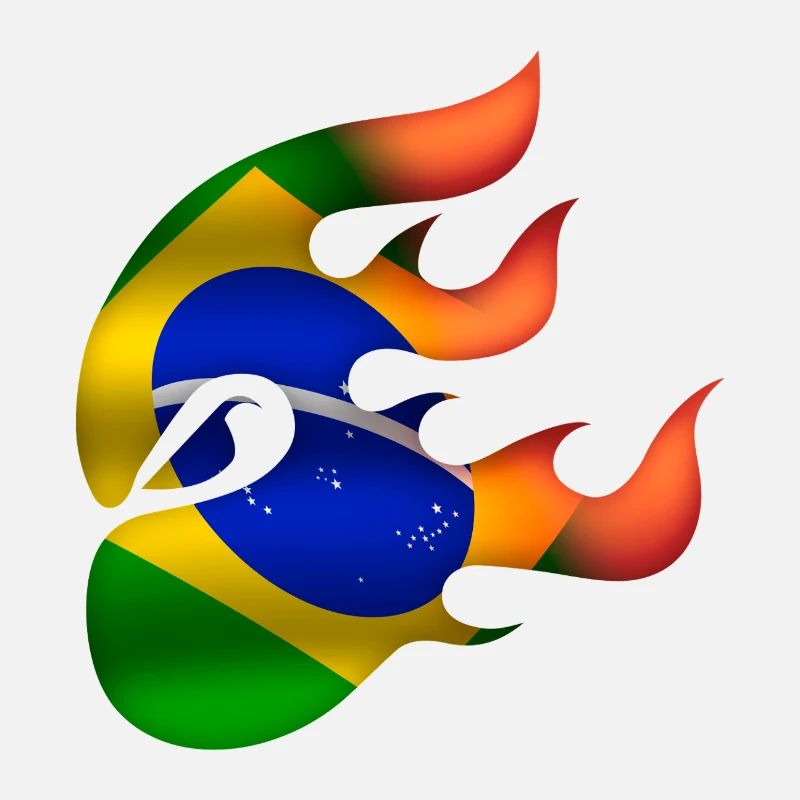 Drapeau du Brésil - Brésil - Ninja