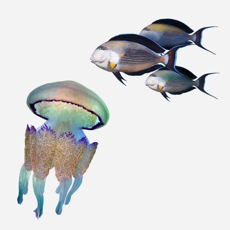 Méduse