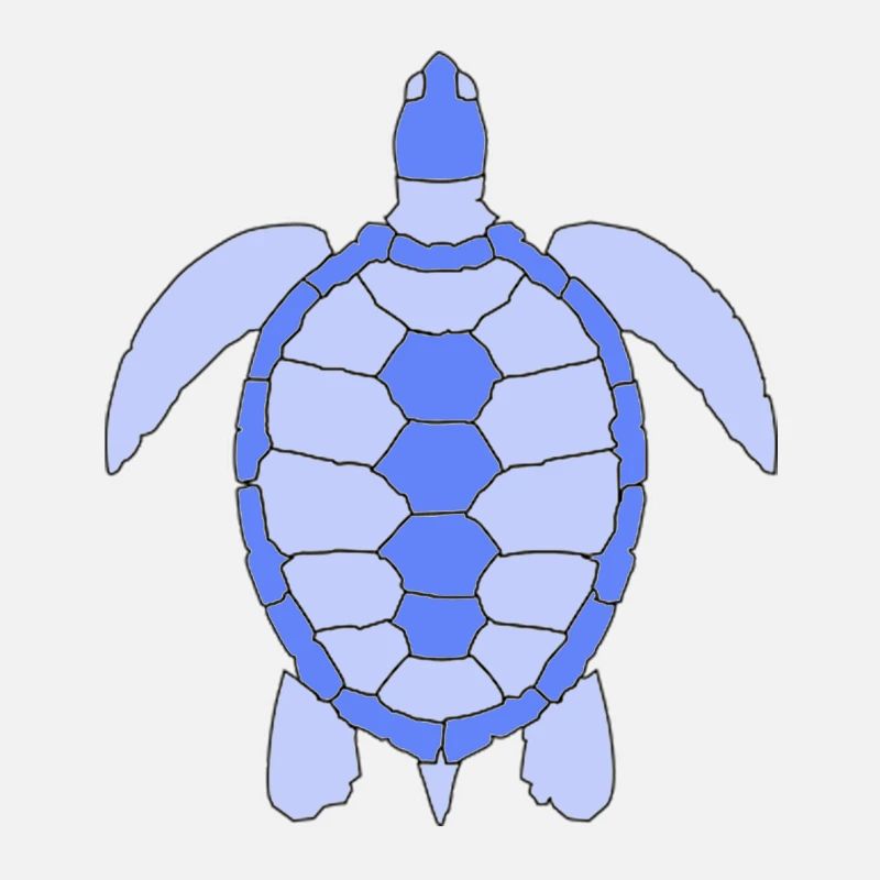 Tortue