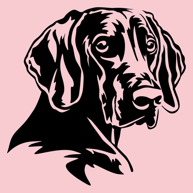 Weimaraner Head