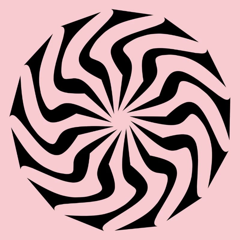 Geometric Black Vortex