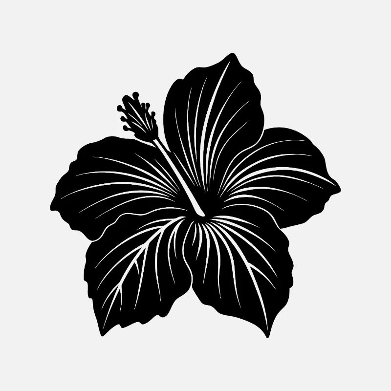 Fleur d’hibiscus