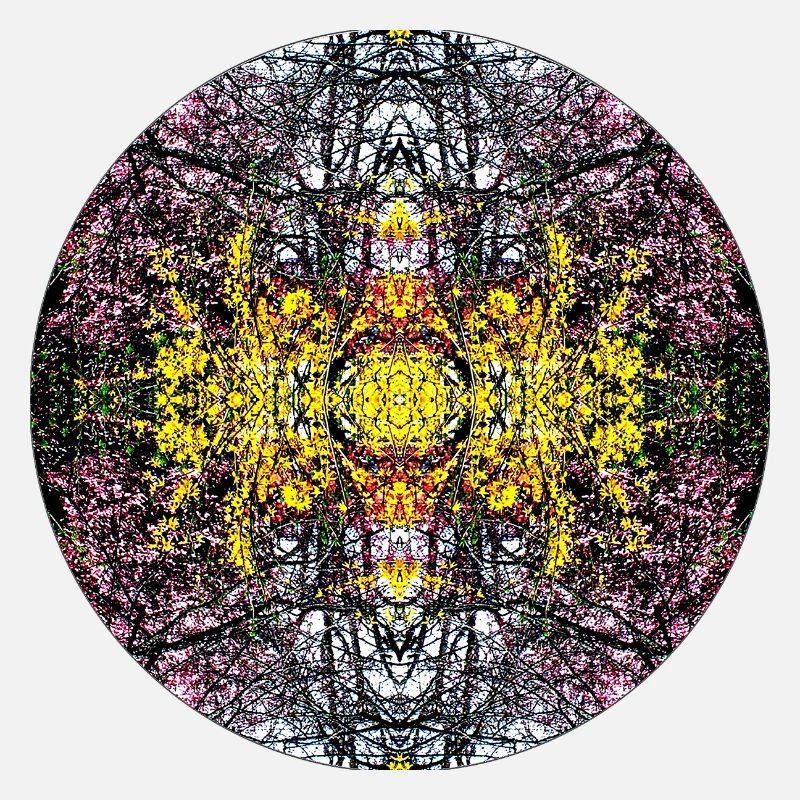 Source du Mandala de la nature dans le parc municipal