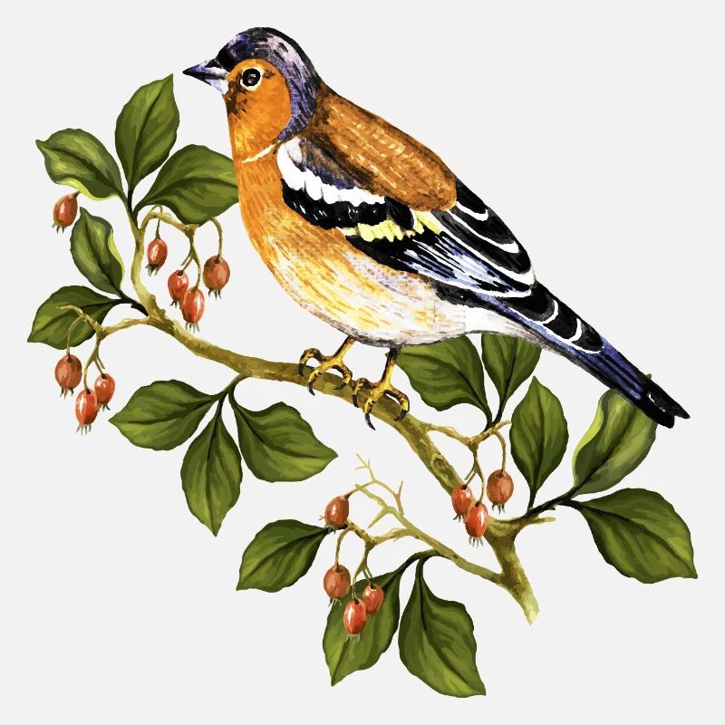 Bunter Vogel