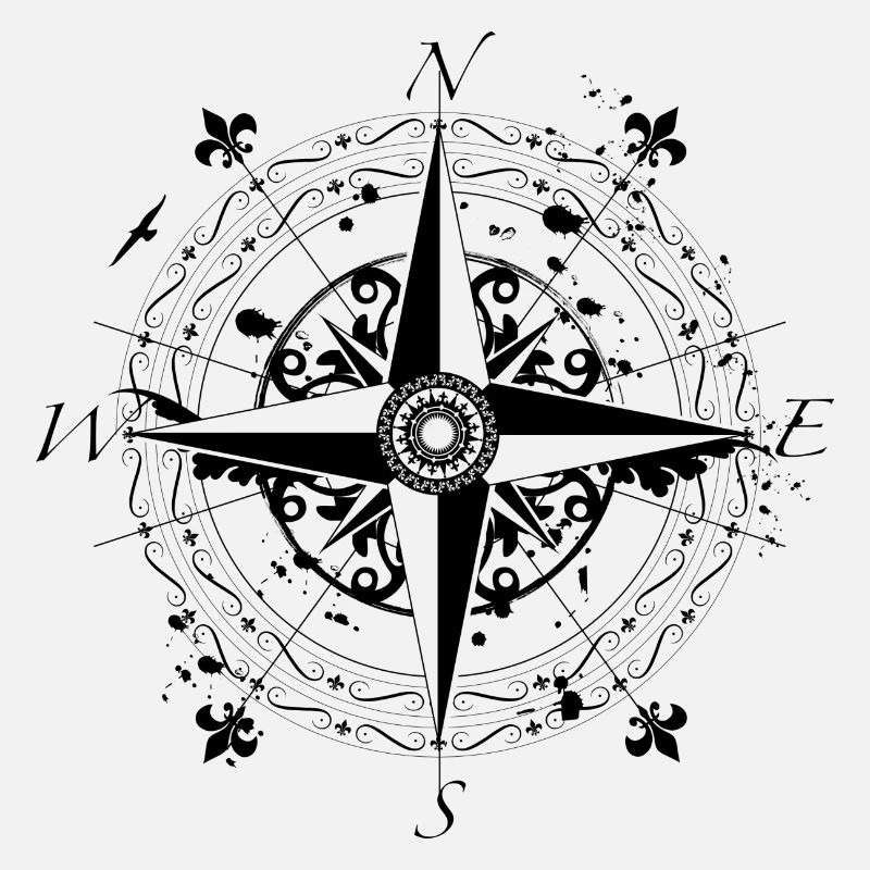 wind rose grunge style