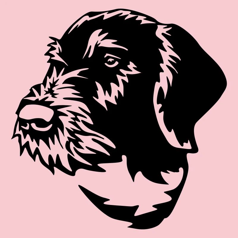 German Wirehaired Pointer