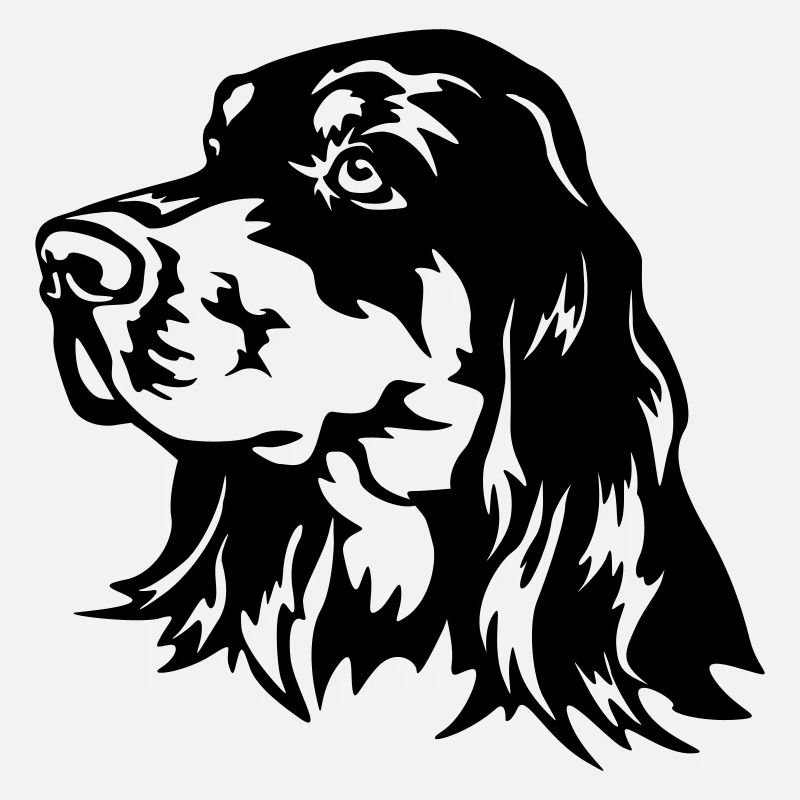 Gordon Setter Tête