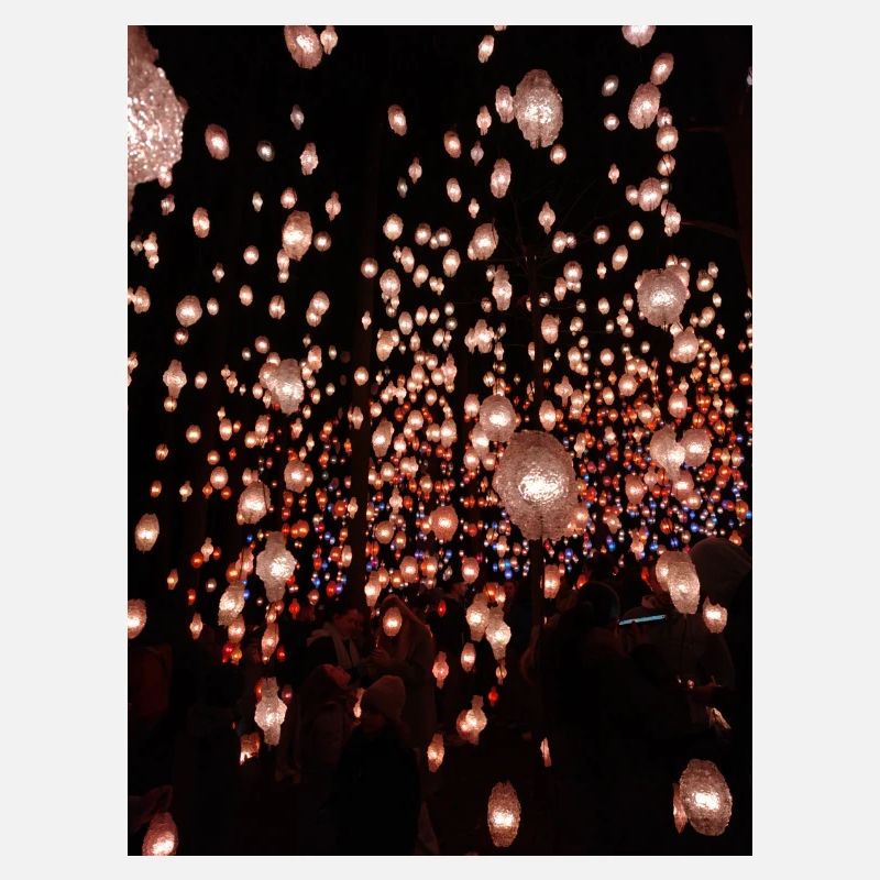 NIGHT LIGHTS