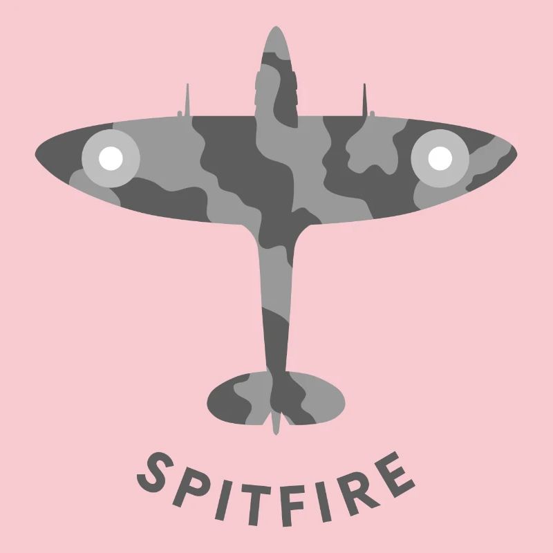 Spitfire fighter plane