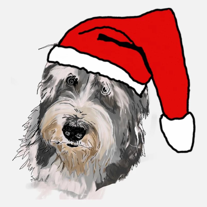 Collie barbu