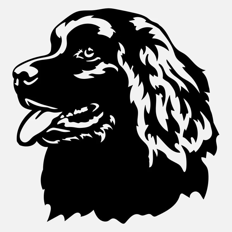 Newfoundland Head