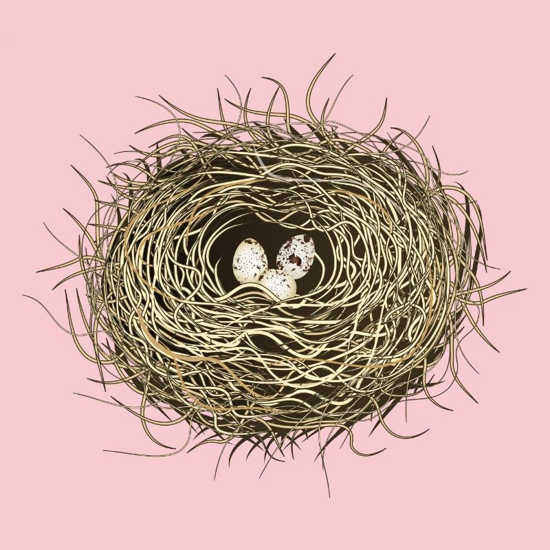 Vogelnest oder Osternest mit drei Vogel Eier