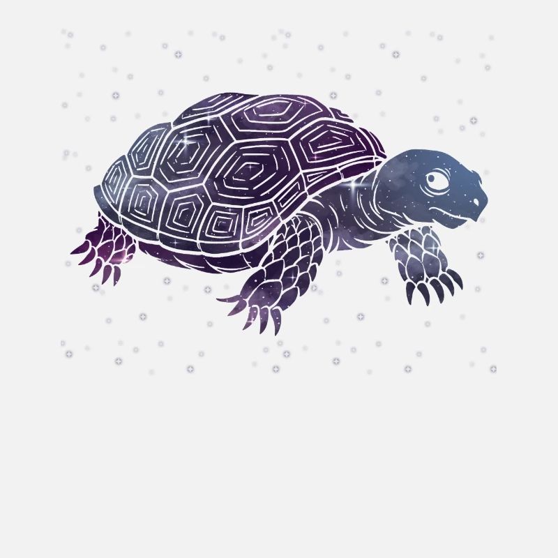 Galactic Turtle Silhouette