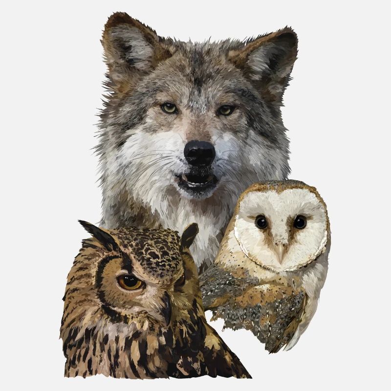 Wolf und Eulen