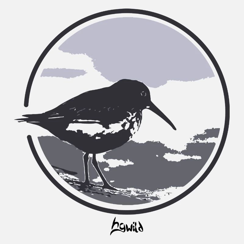 HGWILD - Bécasseau variable