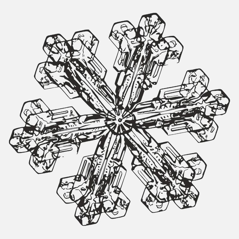 snowflake 3 black