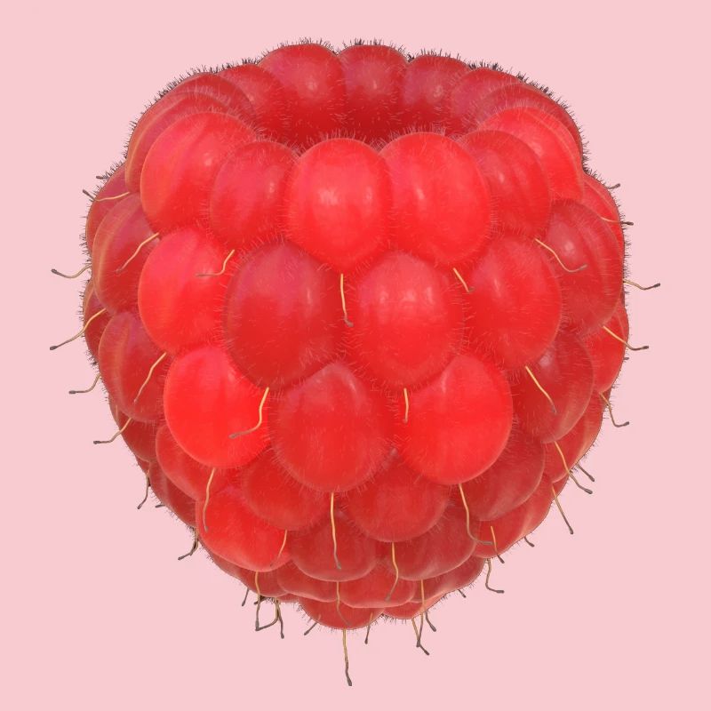 Modèle de grappe de framboises