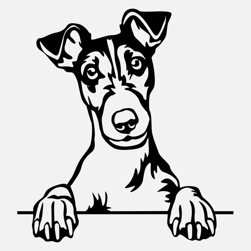 Foxterrier Kopf