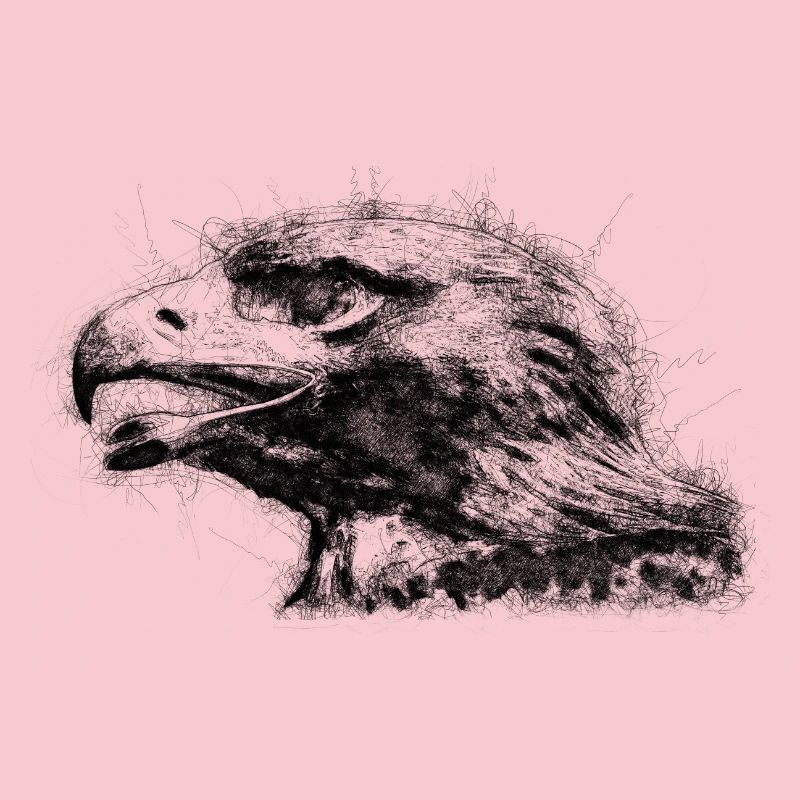 Eagle Head