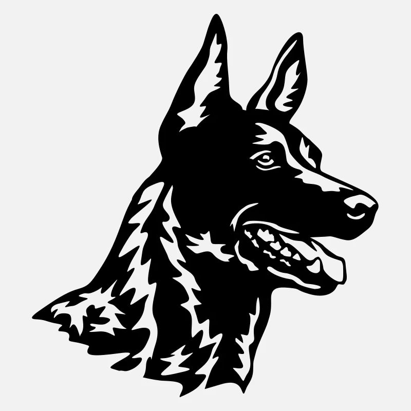 Hollandse Herder head