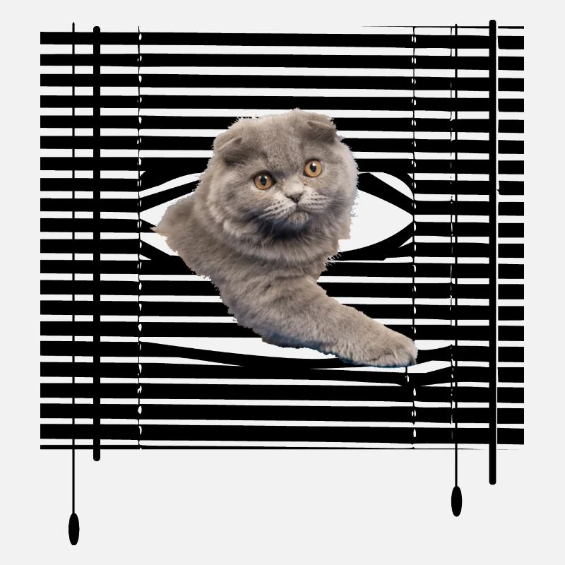 Mon chat s'évade