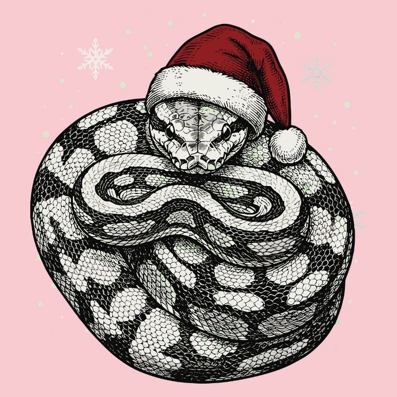 Königspython Weihnachten Ball Python Schlange