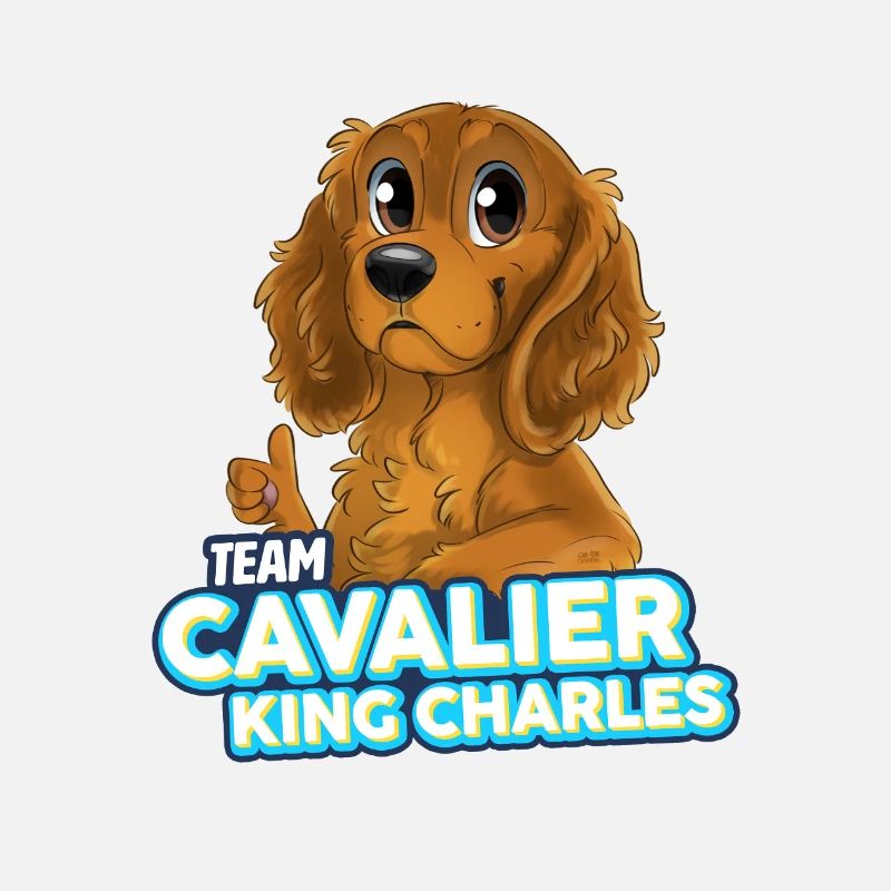 TEAM Cavalier King Charles - Fire