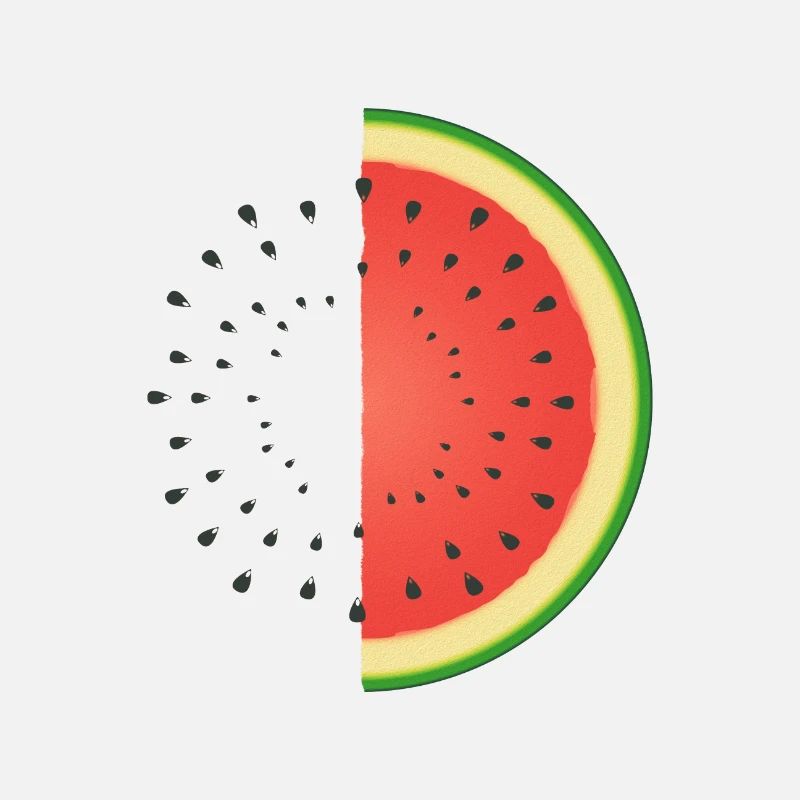 Melon d’eau