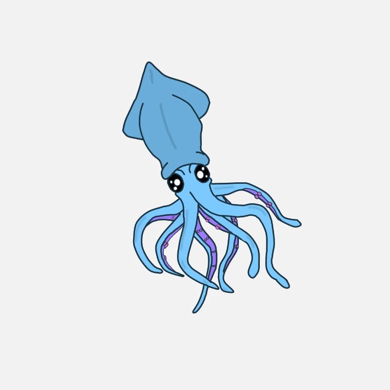 Conception de calamars