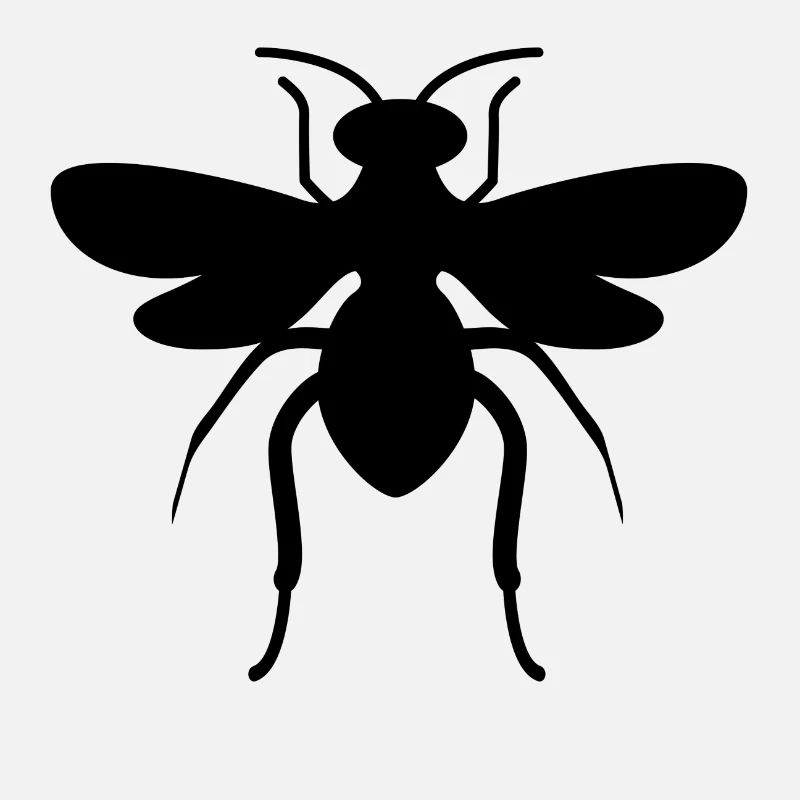Black fly