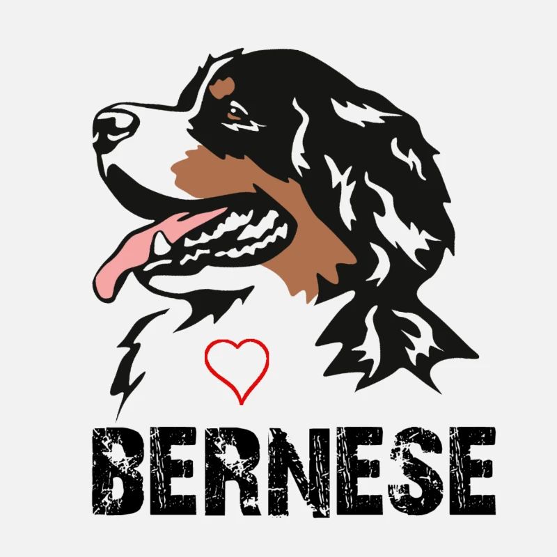 Bernese mountain dog