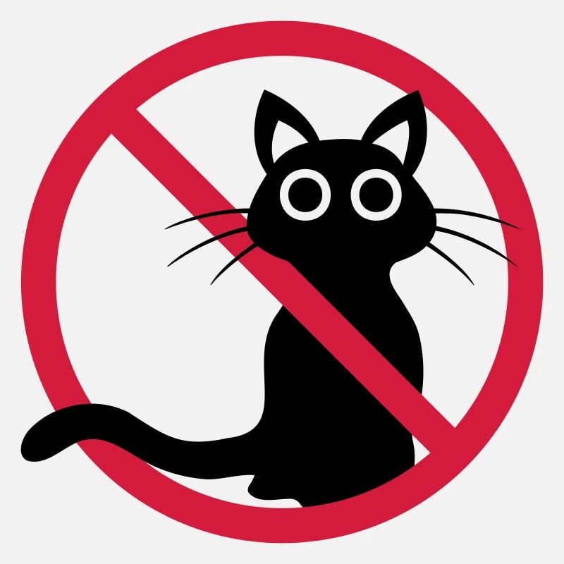 Chat noir interdit