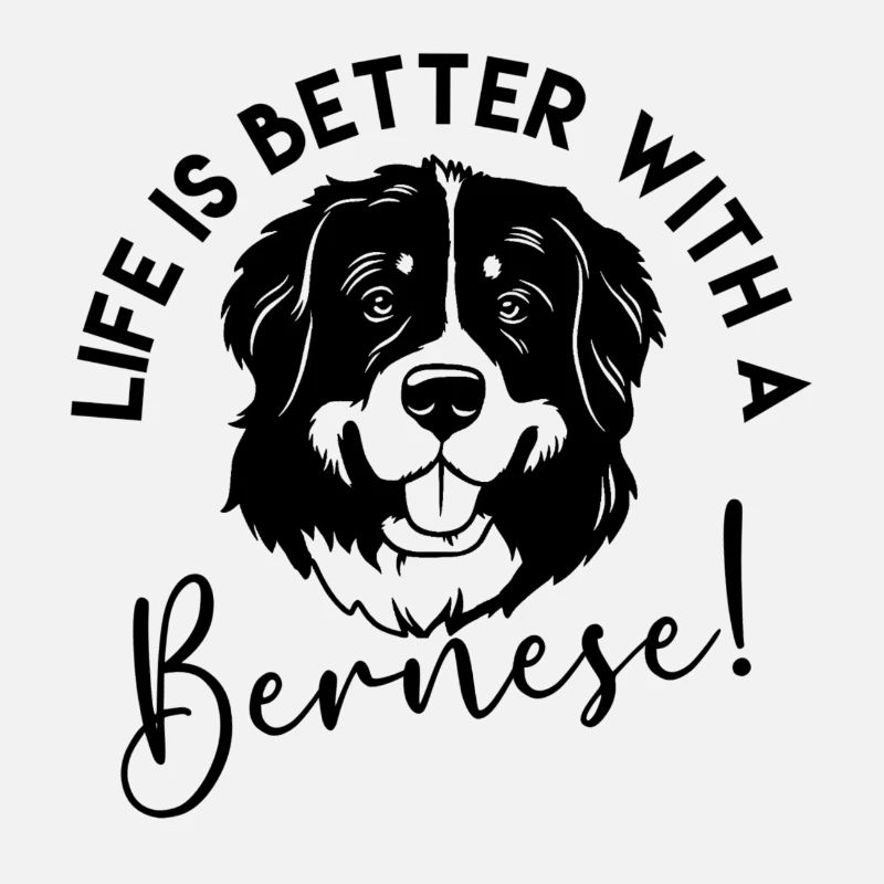 Bouvier bernois