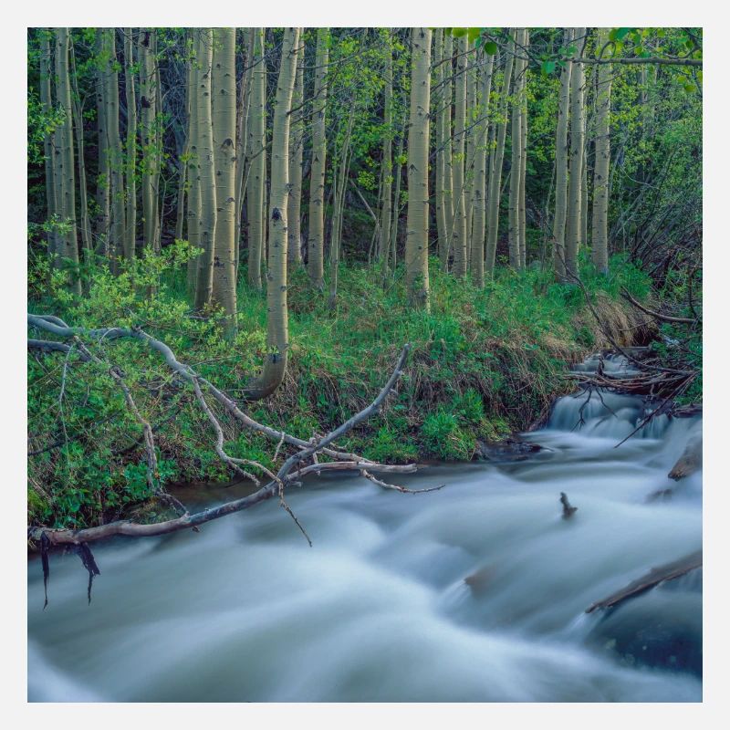 Rivière des