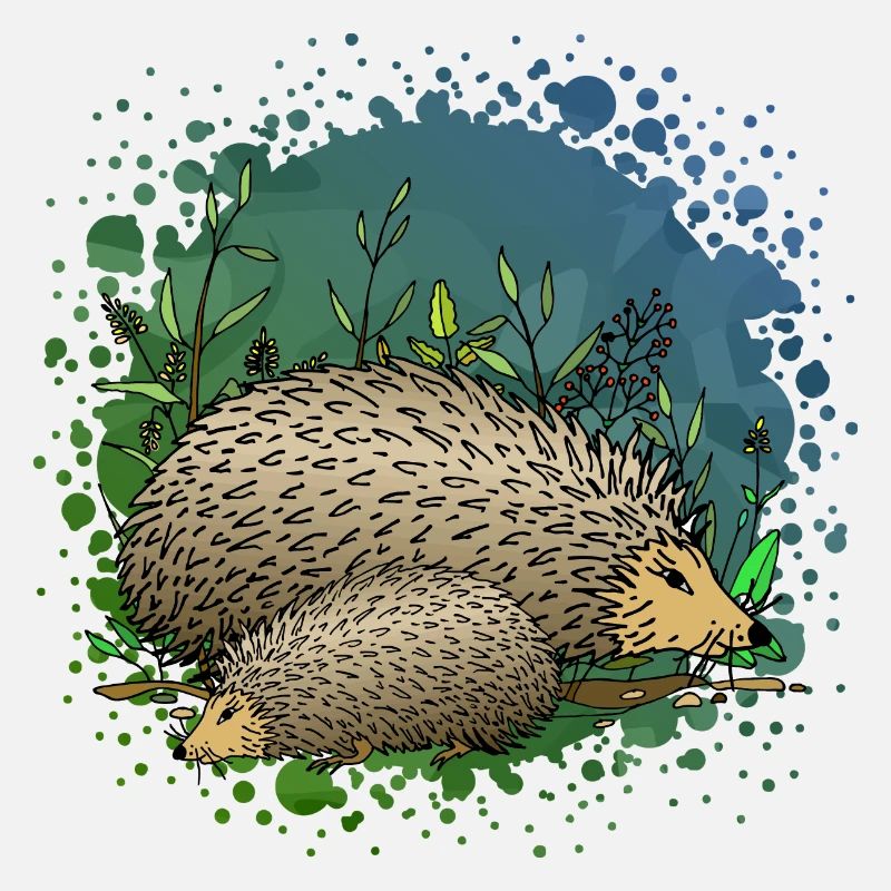 Hedgehogs