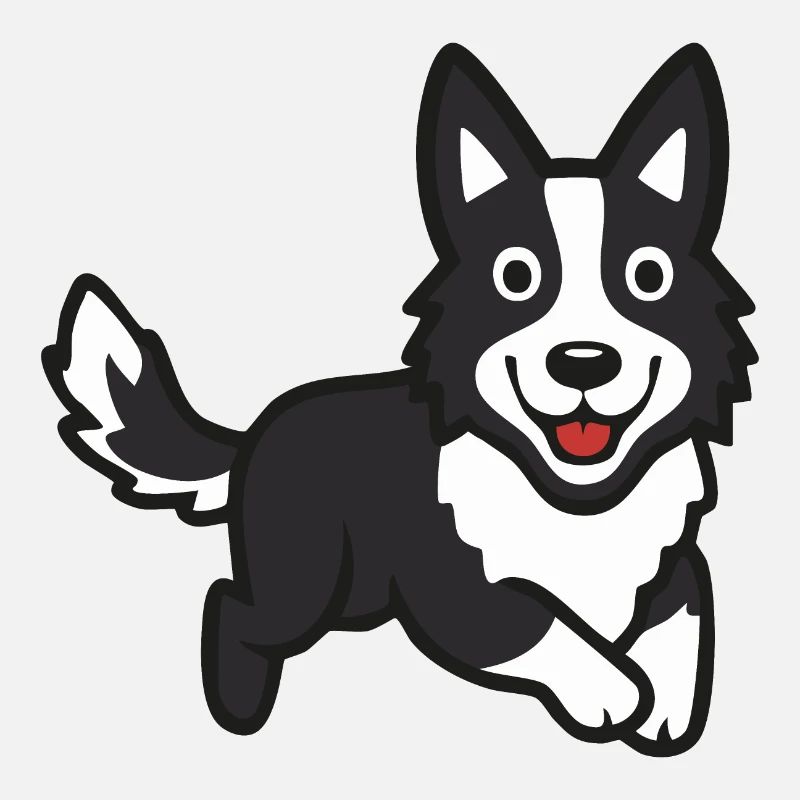 Border Collie