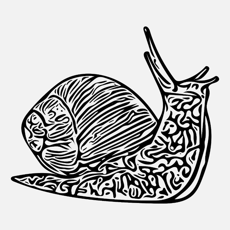 Escargot mignon avec maison