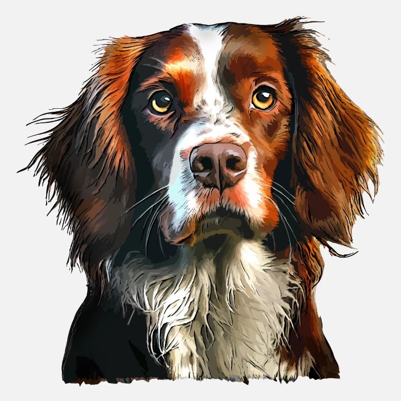 Brittany Spaniel