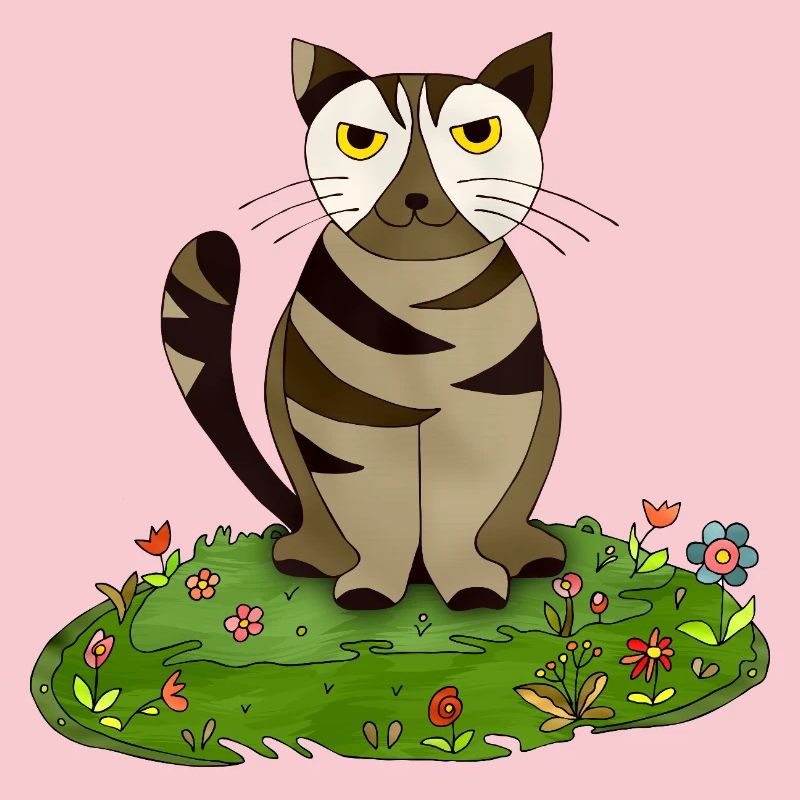 Chat