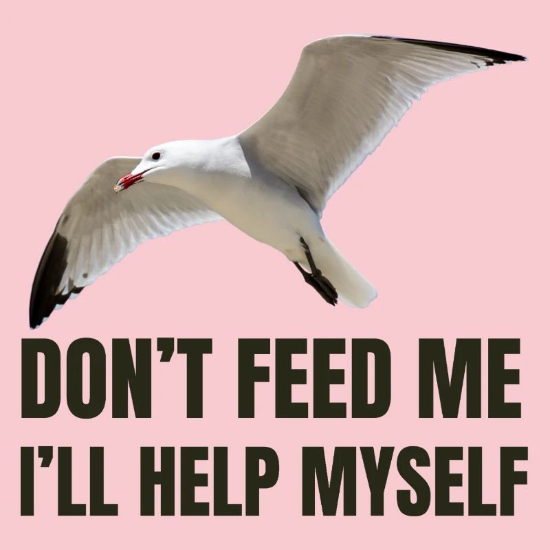 Seagull with Bold Statement