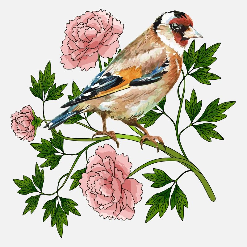 Oiseau coloré