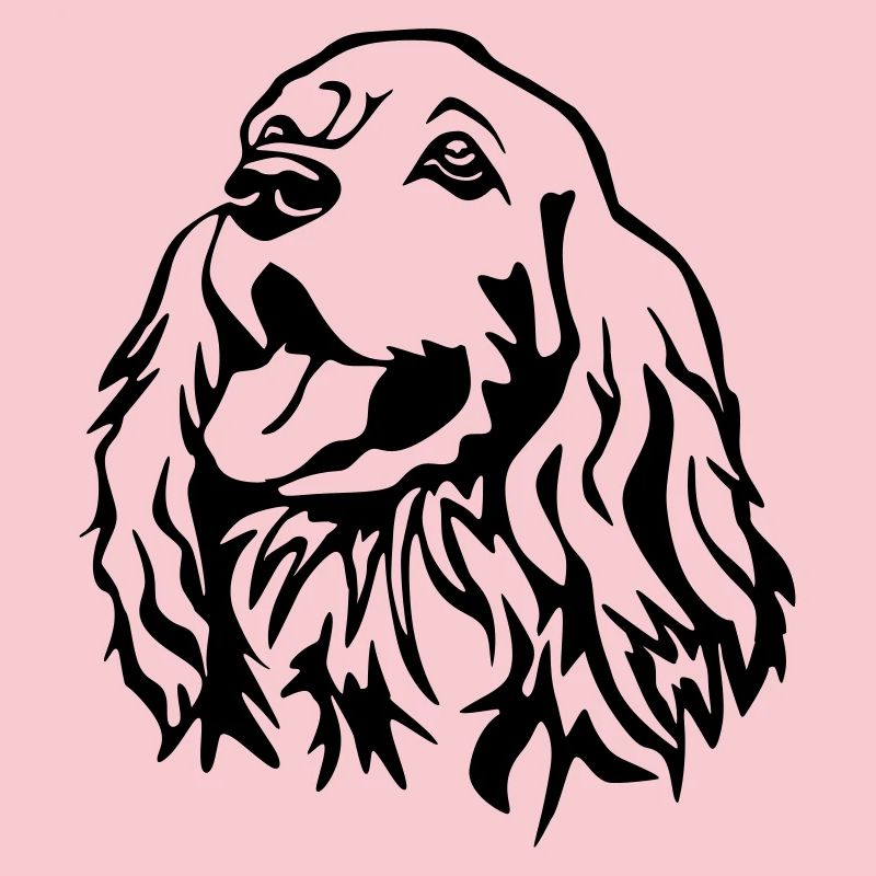 Tête de Cocker Spaniel