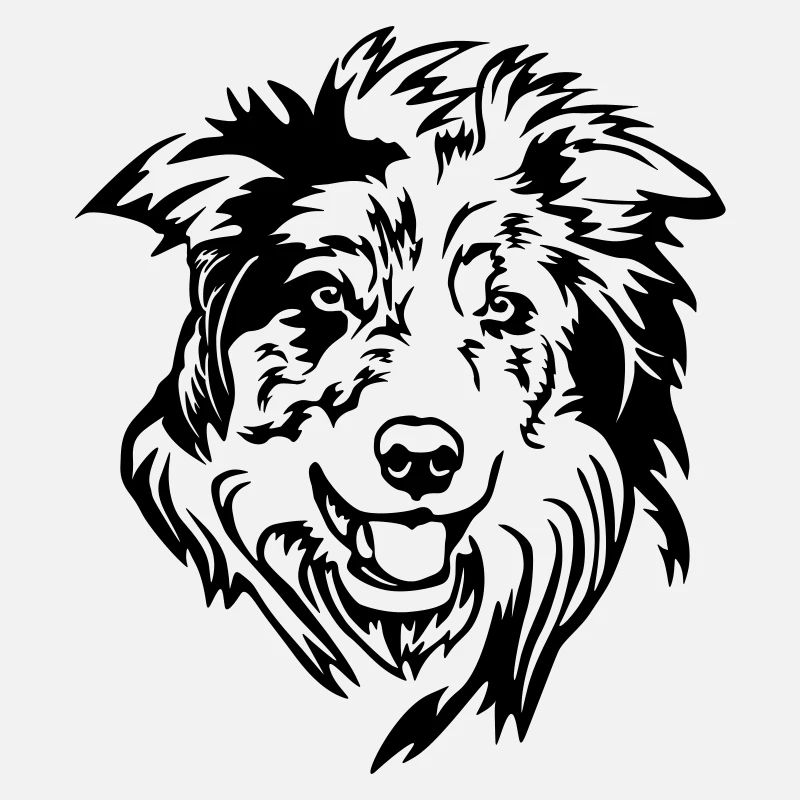 Tête de Border Collie