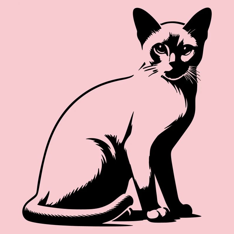 Chat birman