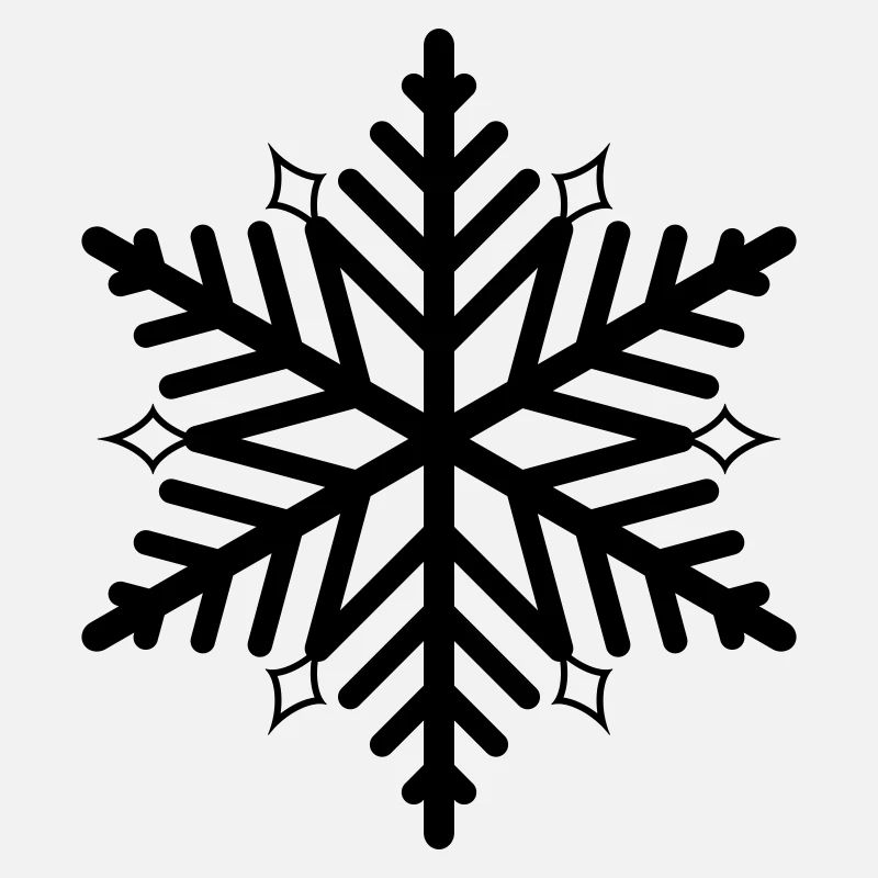 Flocon de neige flocon de neige