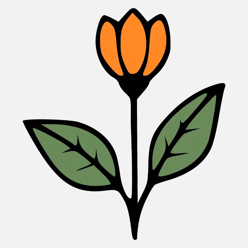 Idée cadeau fleur Tulipe Fleurs Fleurs Maman
